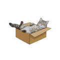 Cardboard Box Sticker